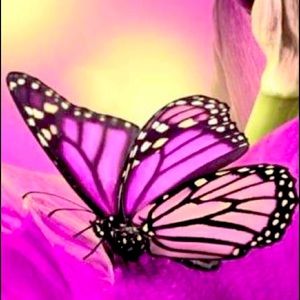 Meet your Posher, Maryann